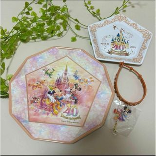 ディズニー　40周年　スーベニアプレート　2枚　チャーム　セット売り(その他)