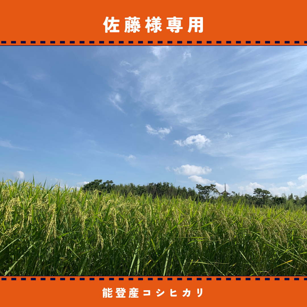 令和６年度米/石川県能登産こしひかり