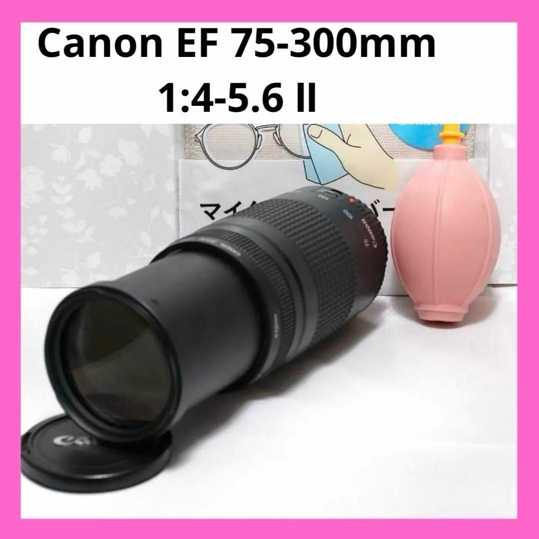 超望遠レンズデビュー❤️EF 75-300mm 1:4-5.6 Ⅱ おまけ付き