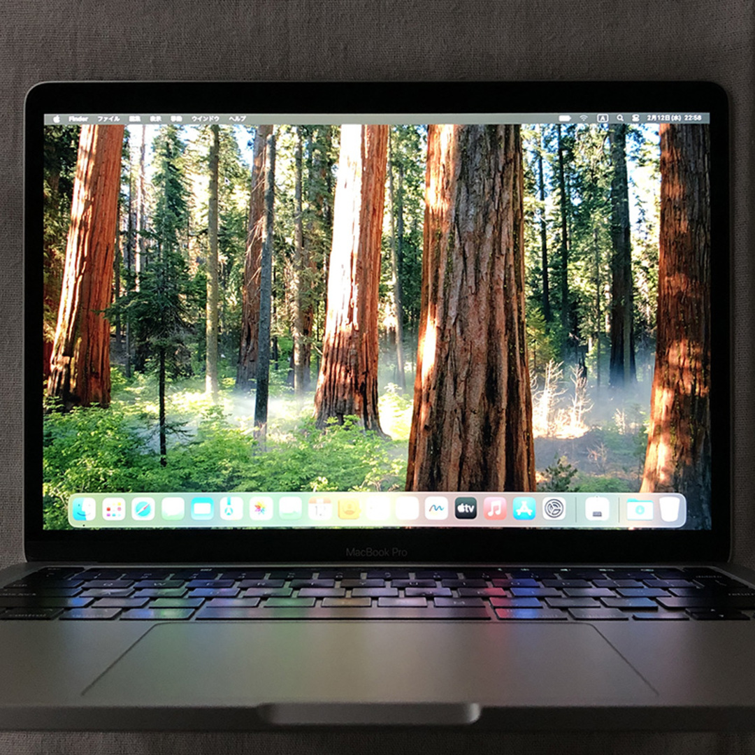 【本体のみ】Apple MacBook Pro (13インチ, M1, 2020)【メモリ16GB・SSD256GB】A2338 EMC3578/LT-250313(268412) 【本体のみ】Apple MacBook Pro (13インチ, M1, 2020)【メモリ16GB・SSD256GB】A2338 EMC3578/LT-250313(268412)