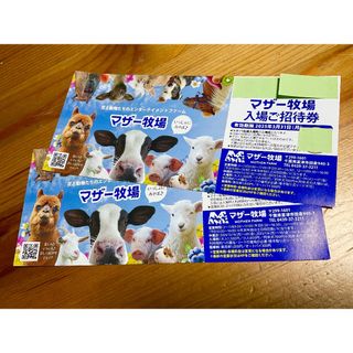 ’25 /３.31 迄 ⭐︎ 千葉県 マザー牧場 ⭐︎ 入園券２枚 set！(動物園)