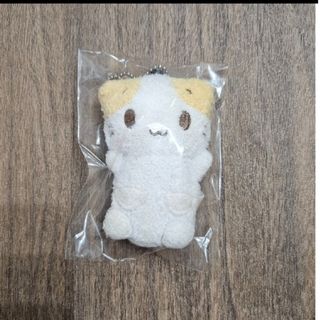 マシュマロみたいなふわふわにゃんこのフリマアイテム一覧 マシュマロみたいなふわふわにゃんこのフリマアイテム一覧