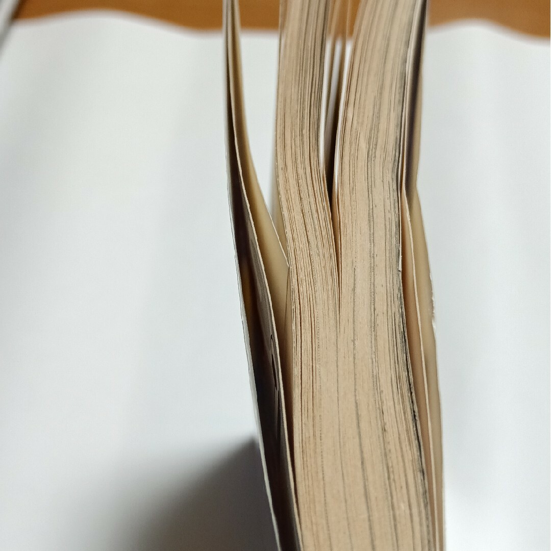 らんま1/2 高橋留美子5 エンタメ/ホビーの漫画(少年漫画)の商品写真