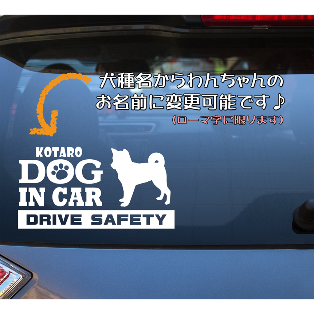 ビーグル②・犬種名・DOG IN CAR・DRIVE SAFETY ステッカー その他のペット用品(犬)の商品写真
