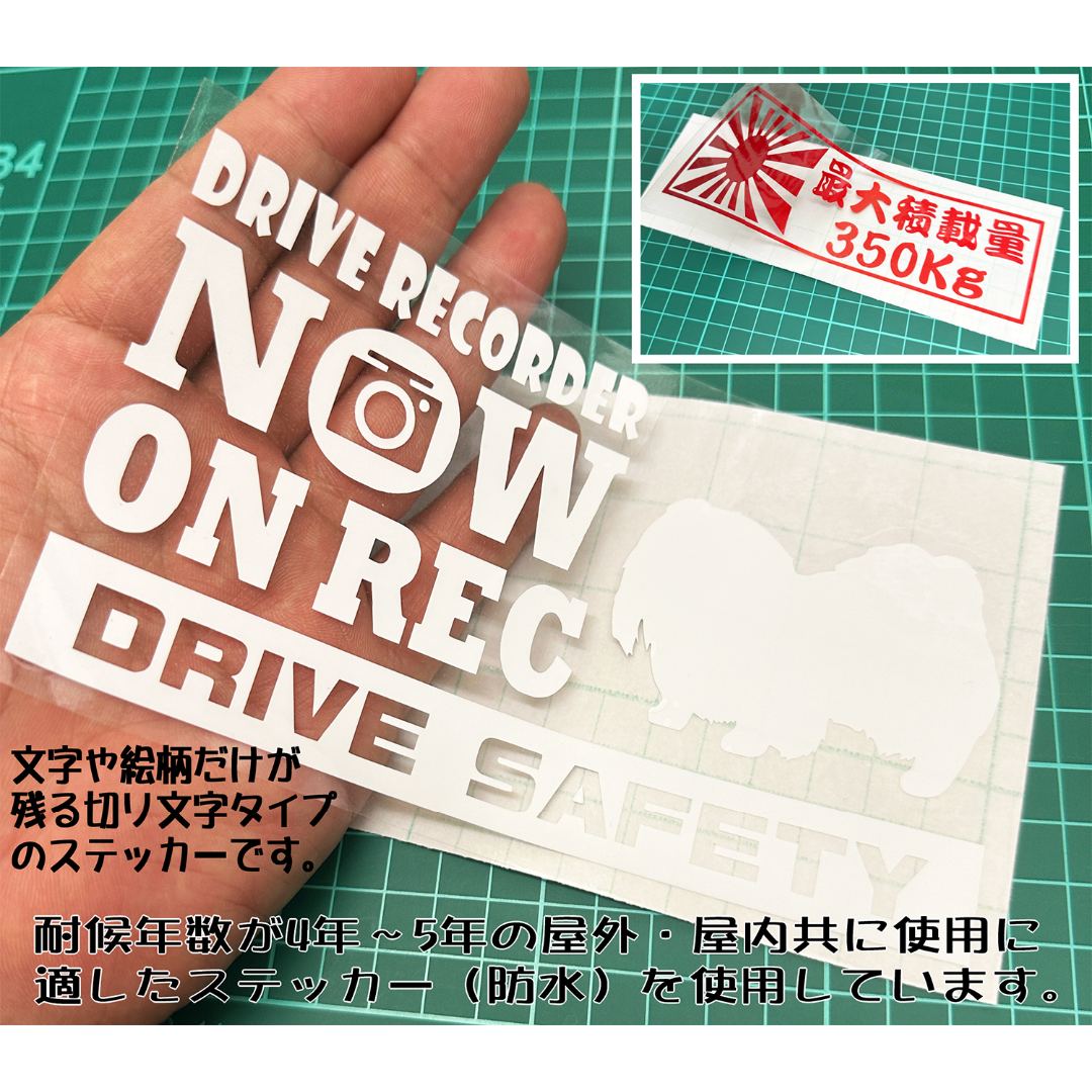 ビーグル②・犬種名・DOG IN CAR・DRIVE SAFETY ステッカー その他のペット用品(犬)の商品写真