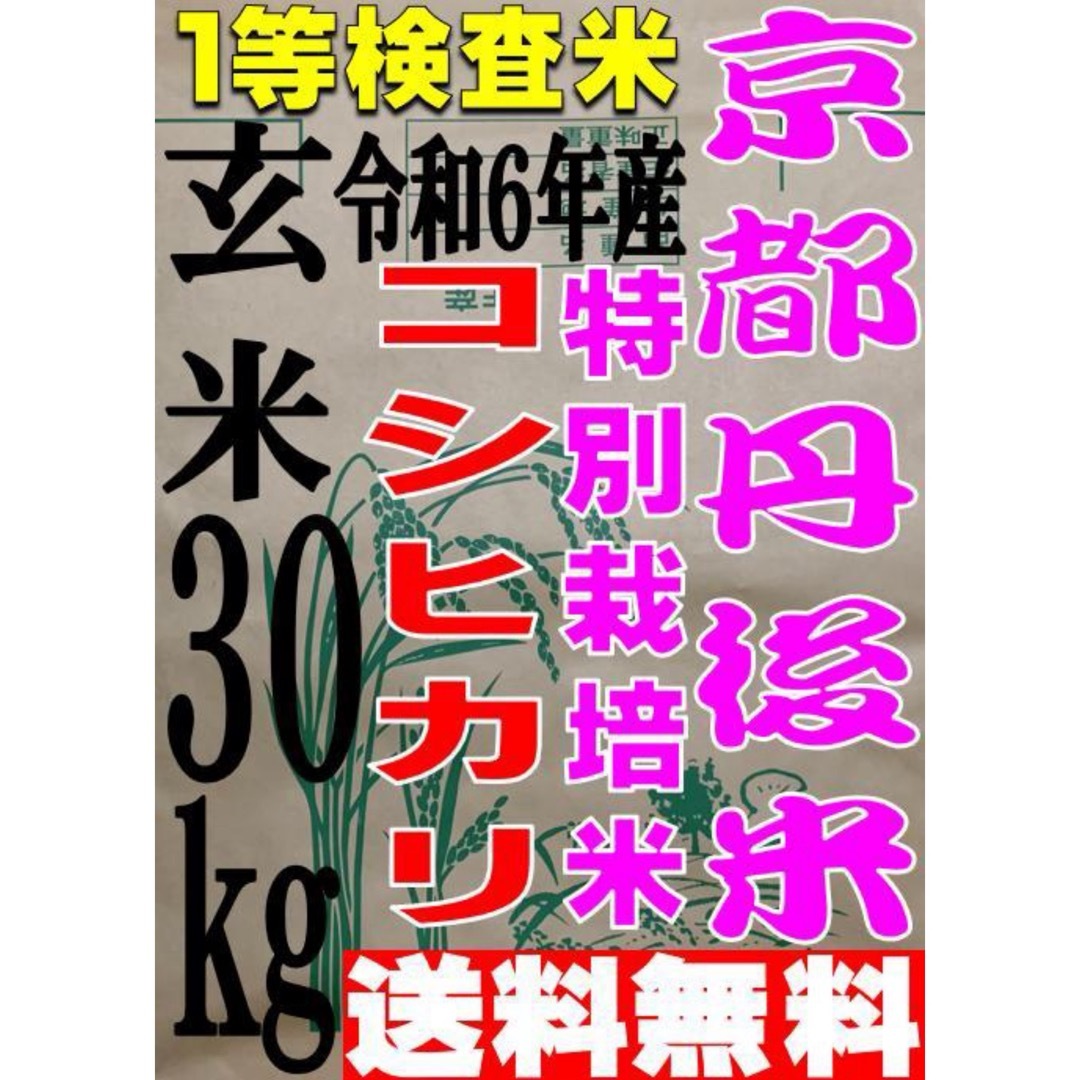 【送料無料 一等検査 特別栽培米】 玄米 令和6年産 京都 丹後 コシヒカリ