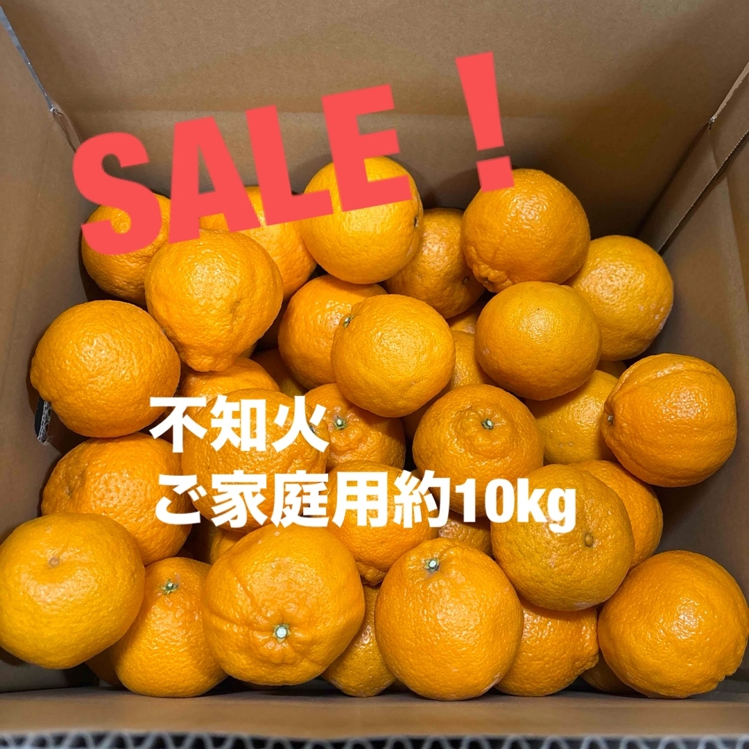 不知火(デコポン) ご家庭用約10kg