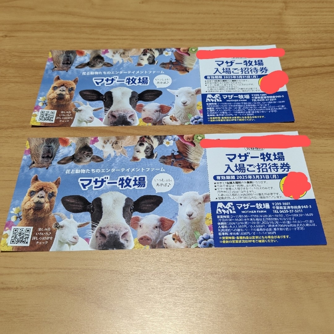 マザー牧場入場ご招待券 2枚セット チケットの施設利用券(遊園地/テーマパーク)の商品写真