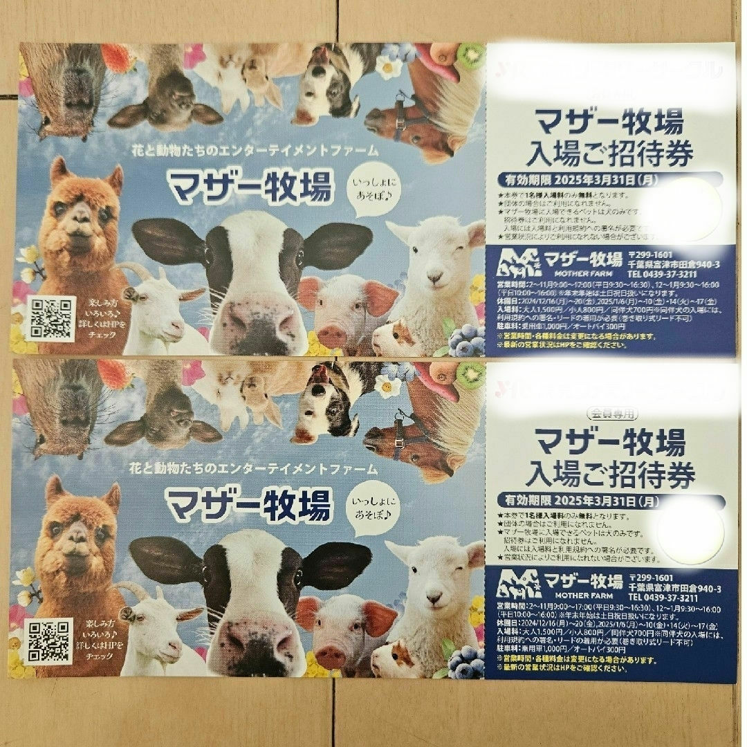マザー牧場 入場ご招待券 2枚 2025年3月31日(月)まで チケットの施設利用券(遊園地/テーマパーク)の商品写真