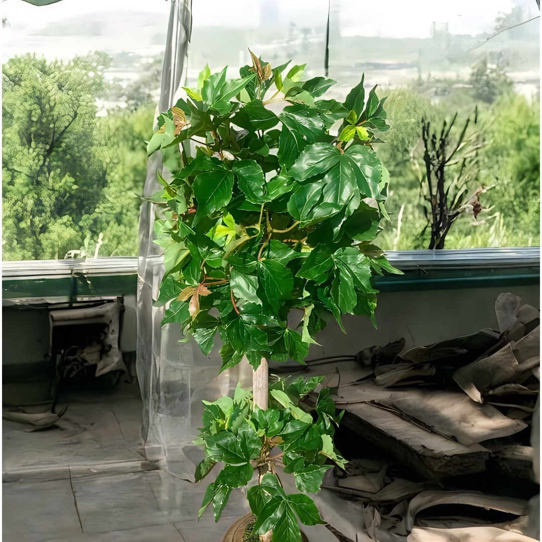 光触媒 人工観葉植物 ウォールグリーン フェイクグリーン 光触媒 人工観葉植物 ウォールグリーン フェイクグリーン