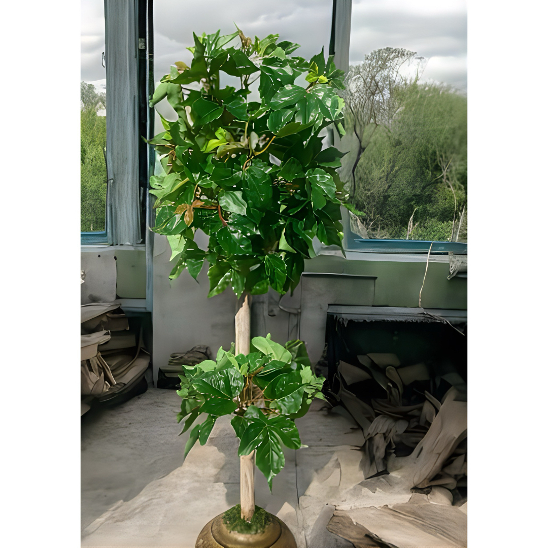 光触媒 人工観葉植物 ウォールグリーン フェイクグリーン 光触媒 人工観葉植物 ウォールグリーン フェイクグリーン