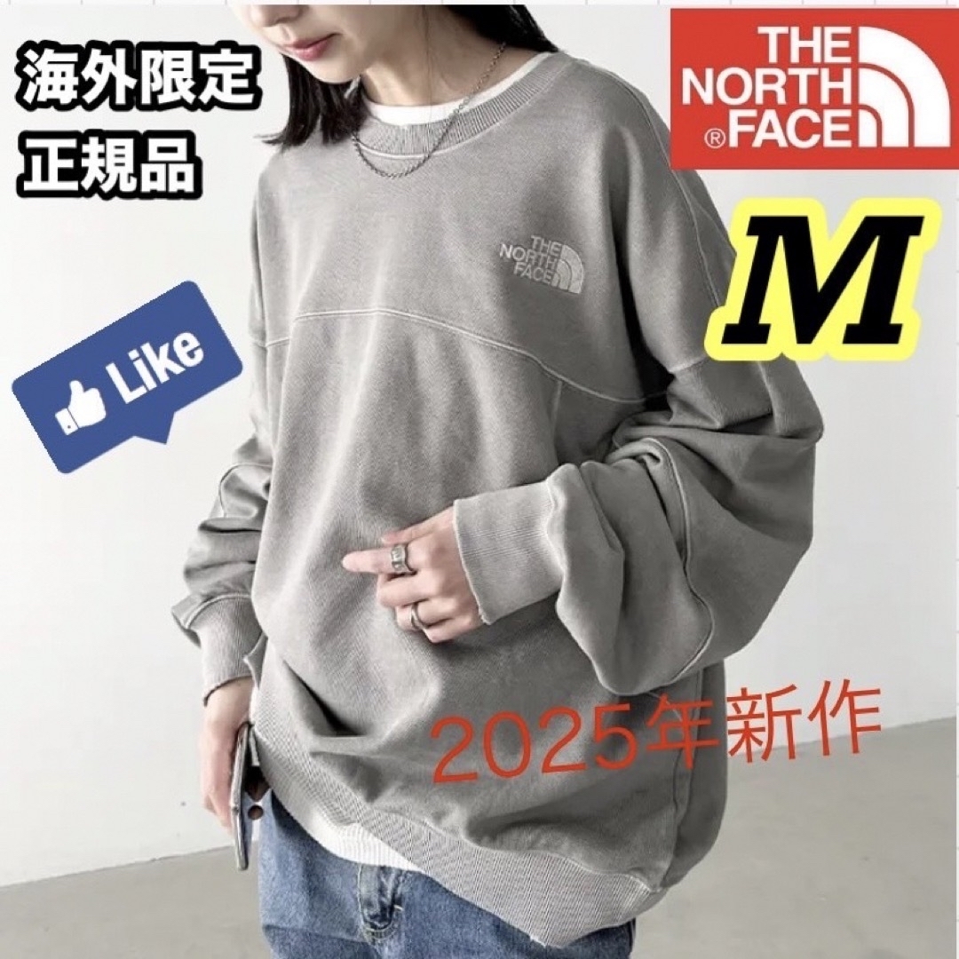 THE NORTH FACE - ノースフェイス スウェット パーカー ワンポイント 刺繍 グレー Mの通販 by FMM.shop |ザノースフェイス ならラクマ THE NORTH FACE - ノースフェイス スウェット パーカー ワンポイント 刺繍 グレー Mの通販 by FMM.shop |ザノースフェイス ならラクマ