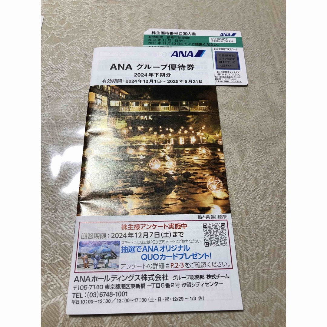 ANA(全日本空輸)(エーエヌエー(ゼンニッポンクウユ))のANA株主優待券 &グループ優待券 チケットの乗車券/交通券(航空券)の商品写真