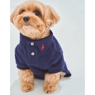 POLO RALPH LAUREN(犬)のフリマアイテム一覧 POLO RALPH LAUREN(犬)のフリマアイテム一覧