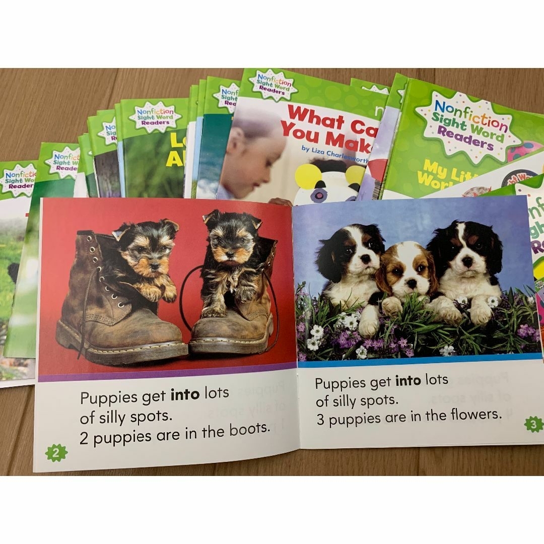 Nonfiction Sight Word Readers&64GBマイヤペン Nonfiction Sight Word Readers&64GBマイヤペン