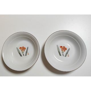 伊東深水画 花柄皿 深皿 カレーボウル パスタ ラーメン 2枚セット(食器)