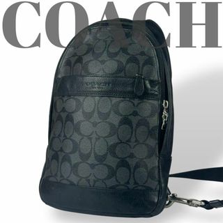 COACH - COACH コーチ 4270 ショルダーバッグ 斜め掛け COACH - COACH コーチ 4270 ショルダーバッグ 斜め掛け