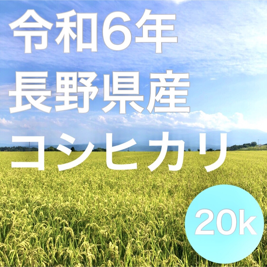 【令和6年産】長野県コシヒカリ20キロ白米