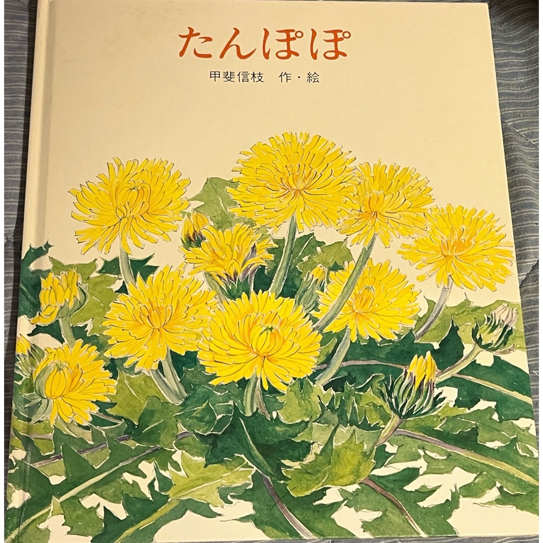 たんぽぽ/甲斐信枝 かがくのとも 福音館書店 エンタメ/ホビーの本(絵本/児童書)の商品写真