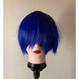 ブルー　ウィッグ(ウィッグ)