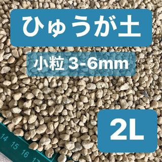 ひゅうが土 小粒 2L 日向土 観葉植物 コーデックス 多肉植物 サボテン(その他)