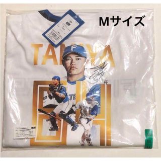 北海道日本ハムファイターズ - 北海道日本ハムファイターズ 北海道日本ハムファイターズ - 北海道日本ハムファイターズ