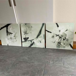 数量限定価格!! アートパネル - IKEA 3枚セット m'sshop by IKEAの通販 桜 絵画