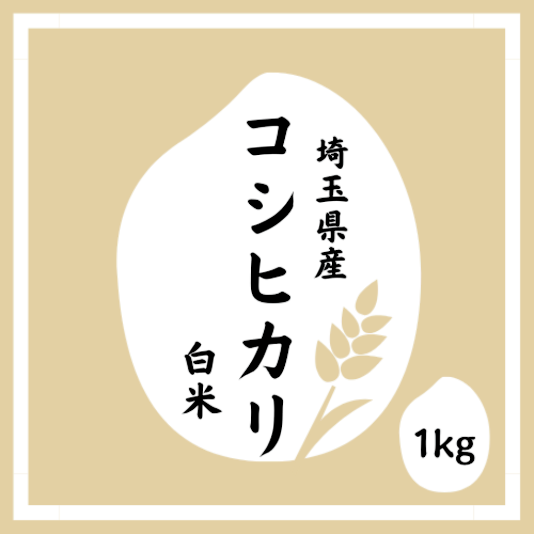 34058055;【国内初期/10CDBOX/シール帯】バックハウス
