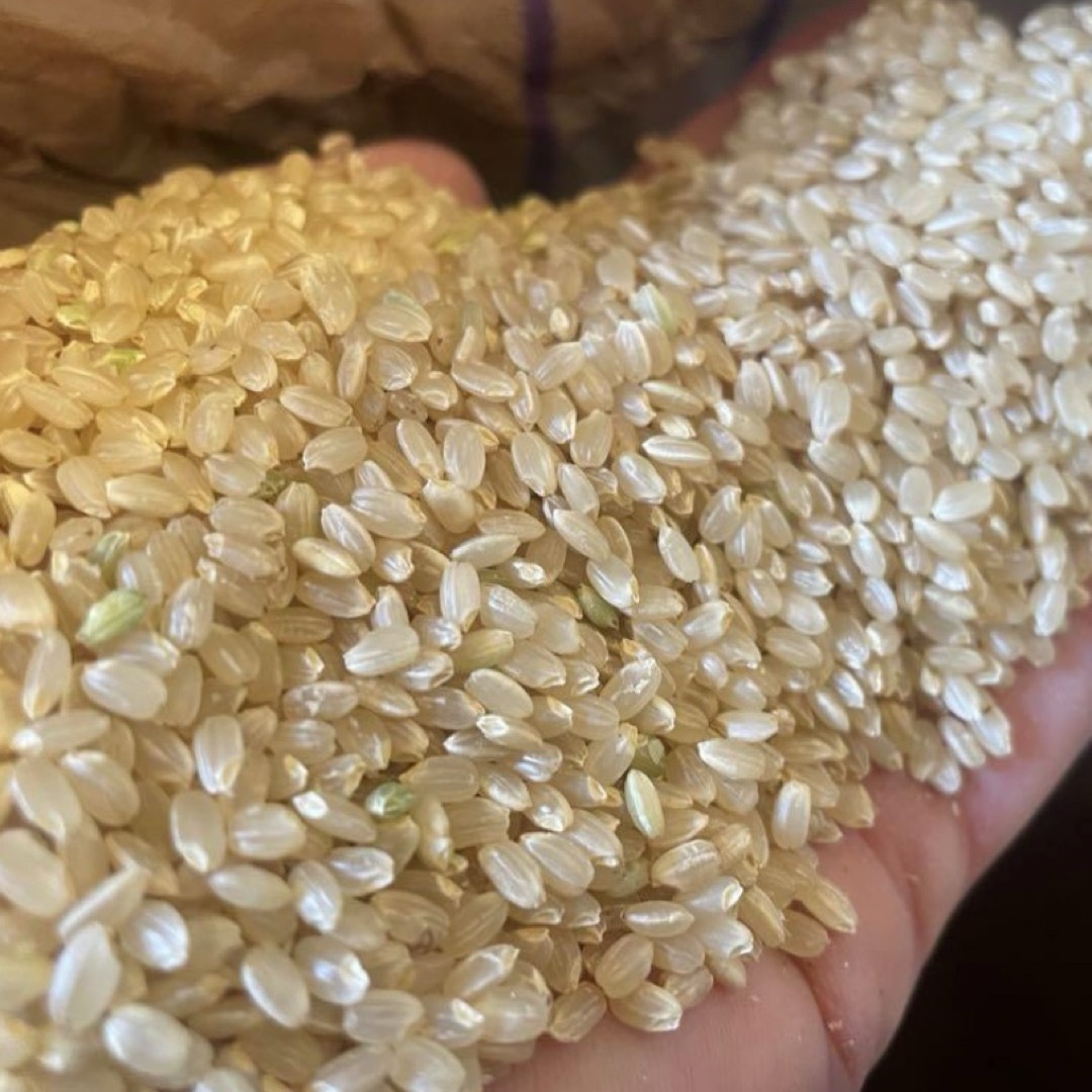 香川県産ヒノヒカリ 玄米30kg 6年産