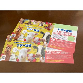 ’25 /６.30 迄 ⭐︎ 千葉県 マザー牧場 ⭐︎ 入園券２枚 set！(動物園)