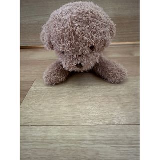 gelato pique - ジェラートピケ ビションフリーゼ ぬいぐるみの gelato pique - ジェラートピケ ビションフリーゼ ぬいぐるみの