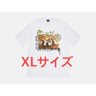 STUSSY - STUSSY ステューシー 23SS KITTENS 猫 バックロゴ STUSSY - STUSSY ステューシー 23SS KITTENS 猫 バックロゴ