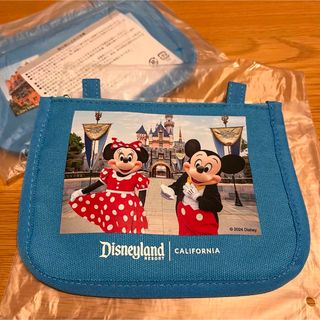 Disney - 東京ディズニーランドorディズニーシー ペアチケット Disney - 東京ディズニーランドorディズニーシー ペアチケット