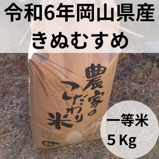 岡山県産きぬむすめ　一等米・５Kg　令和6年10月収穫(米/穀物)