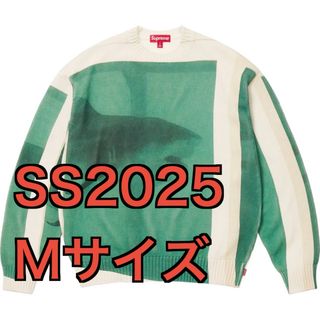 Supreme - M SS25 ダミアンハースト セーター supreme サメ Supreme - M SS25 ダミアンハースト セーター supreme サメ