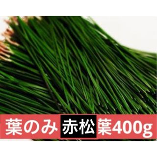 枝なし松葉400グラム即購入可　即日発送　岡山県(野菜)