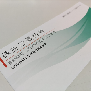 東急　株主優待券の冊子　500株以上　未使用　109シネマズ(ショッピング)