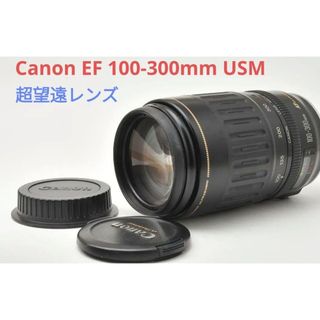 キヤノン(Canon)の5月26日限定価格♪Canon EF 100-300mm USM(レンズ(ズーム))
