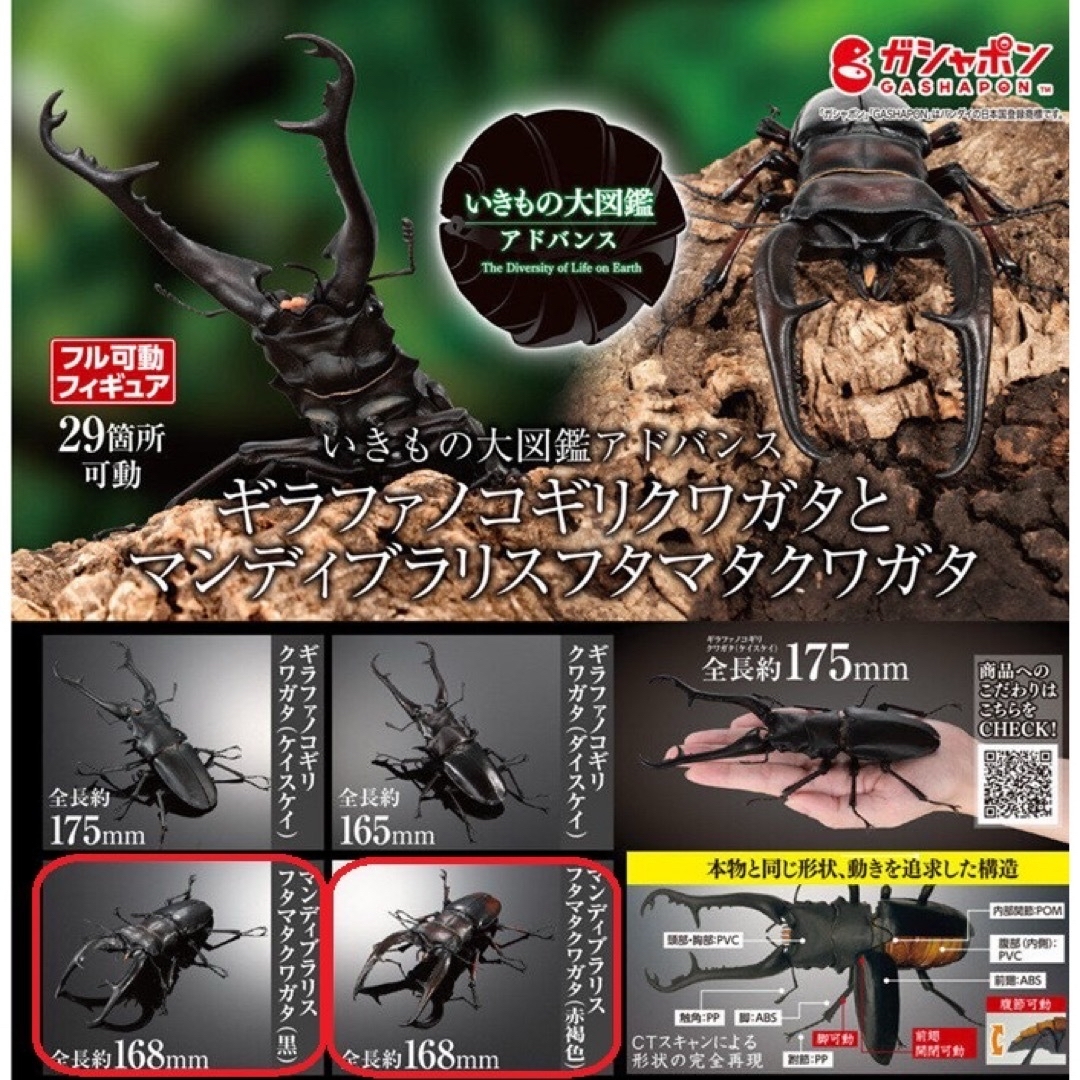 BANDAI - 【2点セット】いきもの大図鑑アドバンス BANDAI - 【2点セット】いきもの大図鑑アドバンス