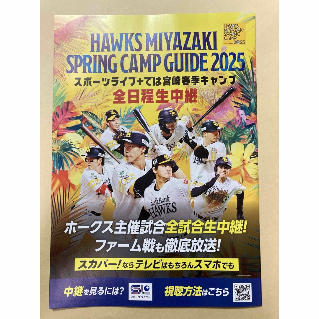西武ライオンズ 佐藤隼輔 サイン 色紙 19 南郷キャンプガイド 西武ライオンズ 佐藤隼輔 サイン 色紙 19 南郷キャンプガイド
