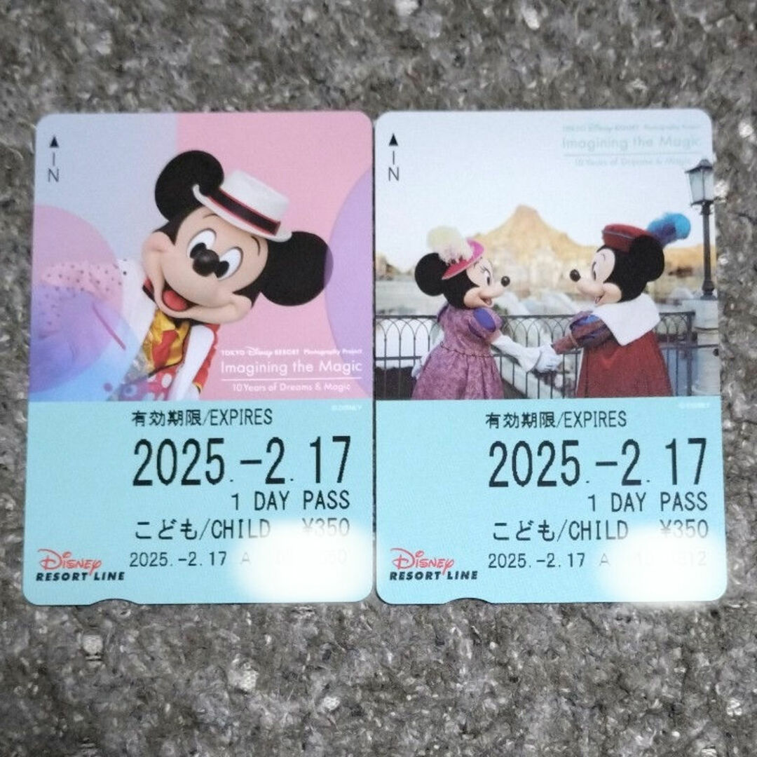 Disney(ディズニー)のディズニー☆リゾートライン☆穴なし☆フリーきっぷ エンタメ/ホビーのおもちゃ/ぬいぐるみ(キャラクターグッズ)の商品写真