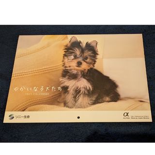ソニー(SONY)のソニー生命　2025年カレンダー　ゆかいな子犬たち(カレンダー/スケジュール)