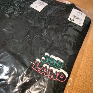 サンダイメジェイソウルブラザーズ(三代目 J Soul Brothers)の三代目 JSB LAND Tシャツ Sサイズ(ミュージシャン)