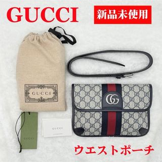GUCCI - グッチ ボディバッグ シルバー金具 ミディアム クロス GUCCI - グッチ ボディバッグ シルバー金具 ミディアム クロス
