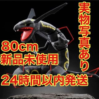 ポケモン(ぬいぐるみ ・ ブラック/黒色系)のフリマアイテム一覧 ポケモン(ぬいぐるみ ・ ブラック/黒色系)のフリマアイテム一覧