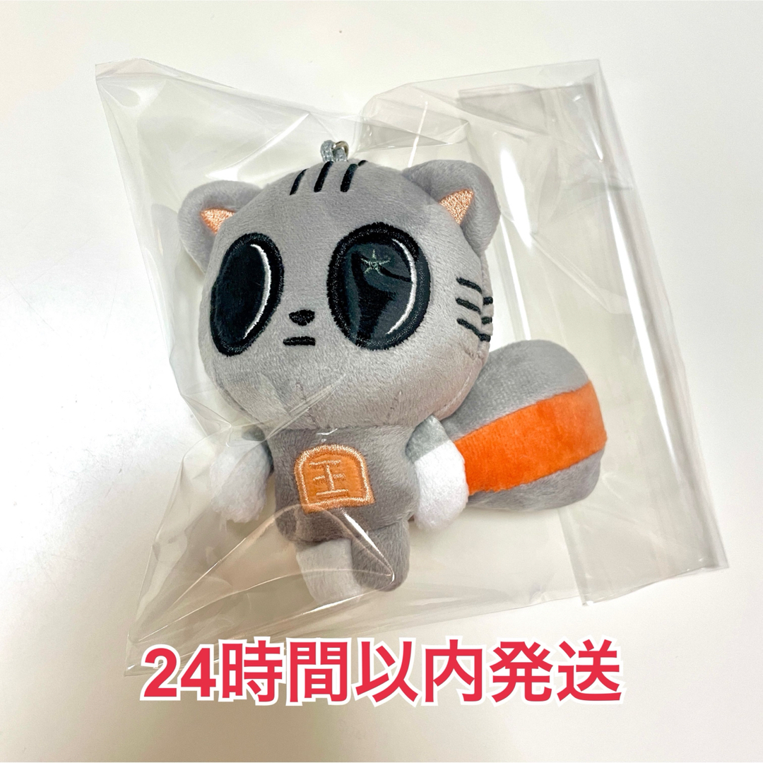 【楽ギフ_包装】 TXT ダゴニャン テヒョン プルバトゥ キーリング ぬいぐるみ トゥバ | フリマアプリ ラクマ アイドル