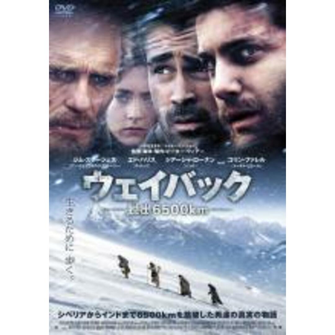 【中古】DVD▼ウェイバック 脱出6500km レンタル落ち エンタメ/ホビーのDVD/ブルーレイ(外国映画)の商品写真