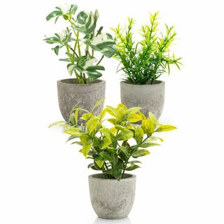 【人気商品】October1st フェイクグリーン 観葉植物 人工 3点セット (その他)