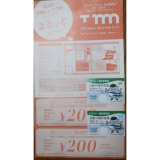 あいの風とやま鉄道　1日フリー乗車券+富山ステーションシティ200円割引券　2枚(鉄道乗車券)