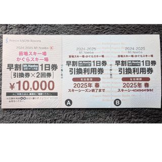 苗場 リフト券のフリマアイテム一覧 苗場 リフト券のフリマアイテム一覧